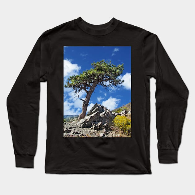 A Lonely Pine Tree Long Sleeve T-Shirt by mariola5
